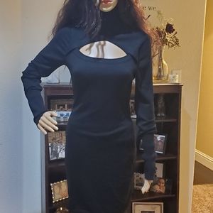 Classy form fitting dress